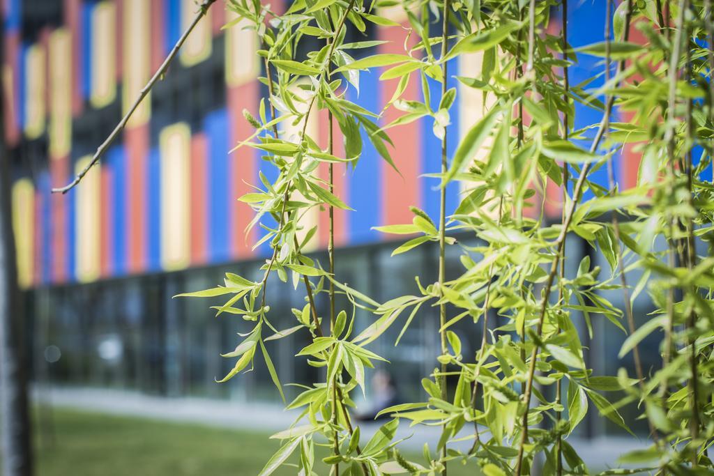 Centre Esplai Albergue El Prat de Llobregat Exteriér fotografie